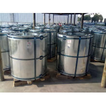 Steel Coil/PPGI Steel Coil/PPGI